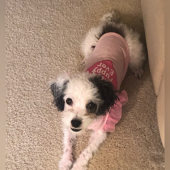 Nice to meet you! - Picture 6 of 14